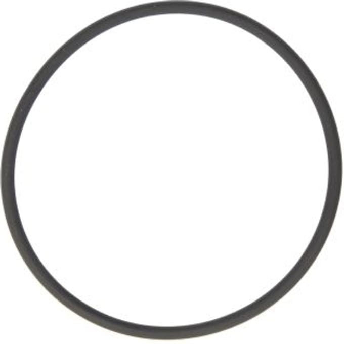 Pakking, brandstofpomp LEMA 122904