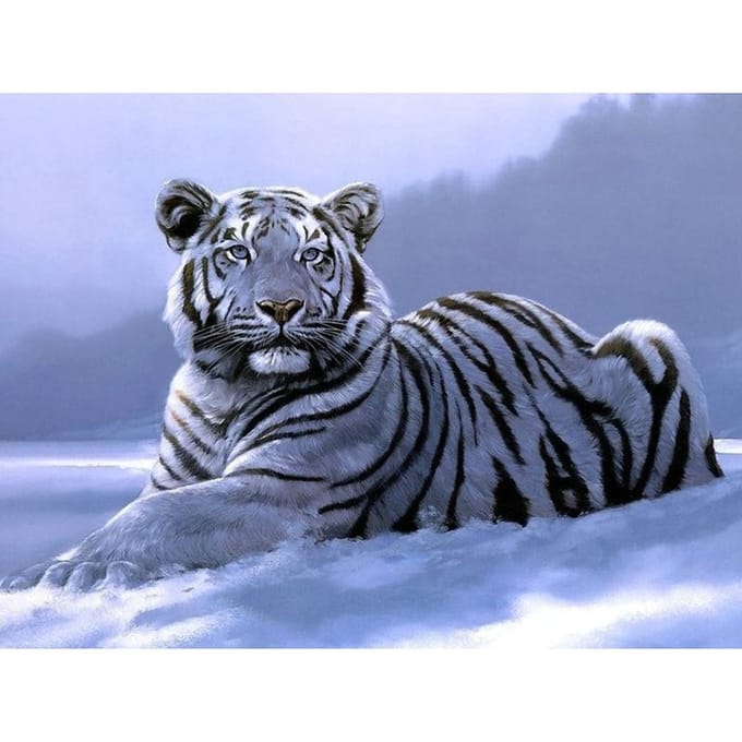 Diamant peinture tigre blanc 5d bricolage diamant, diamant peinture cristal 20X30CM gray