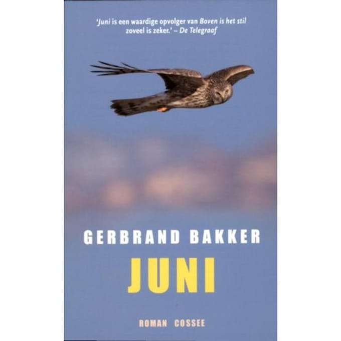 Juni - Gerbrand Bakker