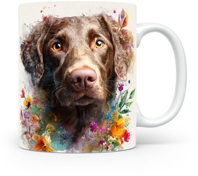 Beker Krulvacht Retriever