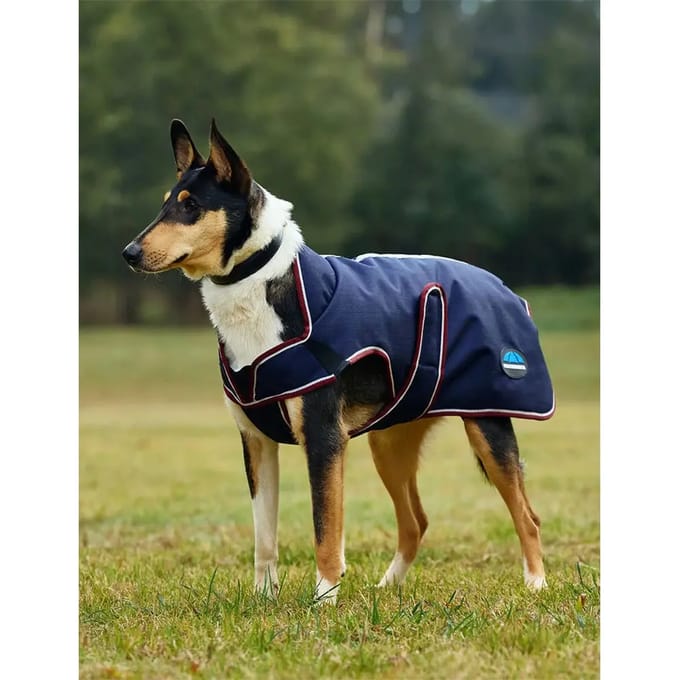 Hondenjas Weatherbeeta Comfitec Premier Deluxe