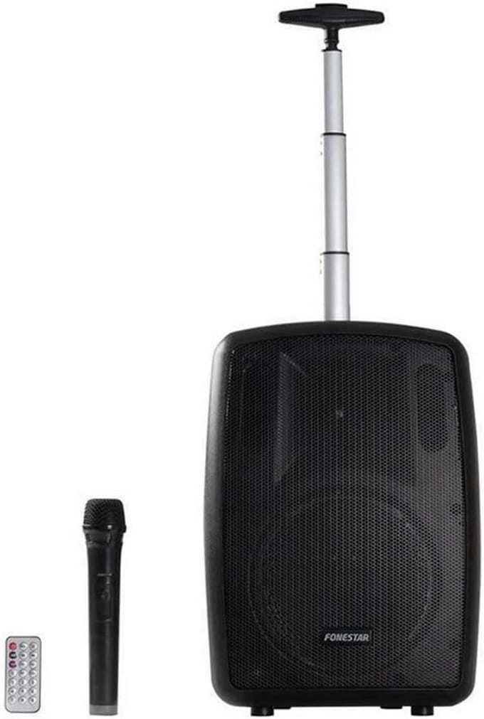Draagbare Bluetooth Speaker 100W met Microfoon en FM Radio