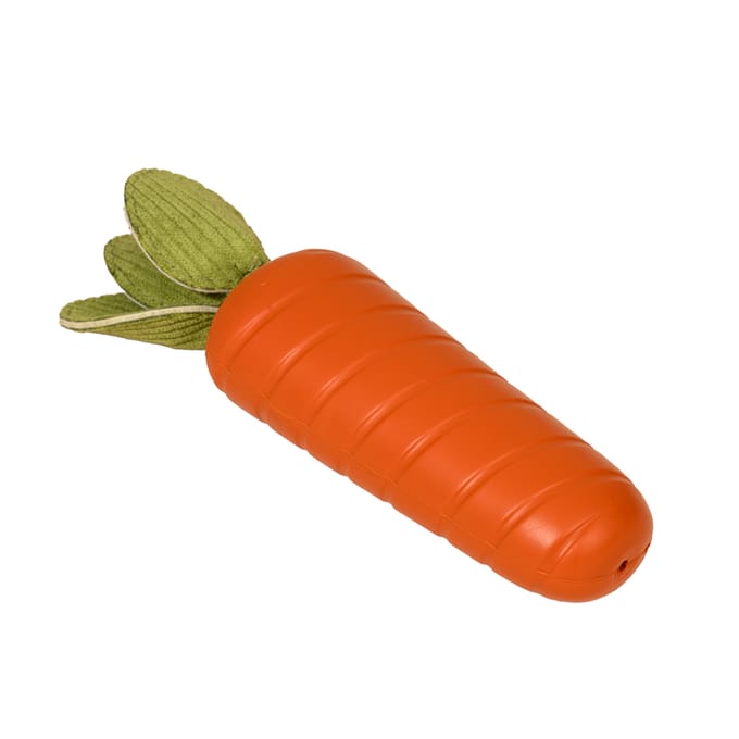 TIAKI rubberen wortel voor honden 19x5x4cm hond