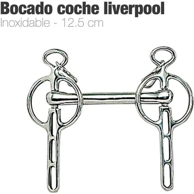 Liverpool bustrens voor paard Zaldi 212559