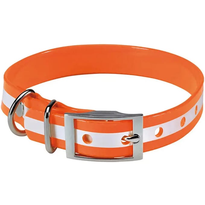 Fosforescerende hondenhalsband Stepland
