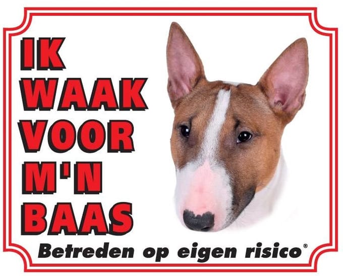 Bull Terrier Waakbord - Ik waak voor mijn baas