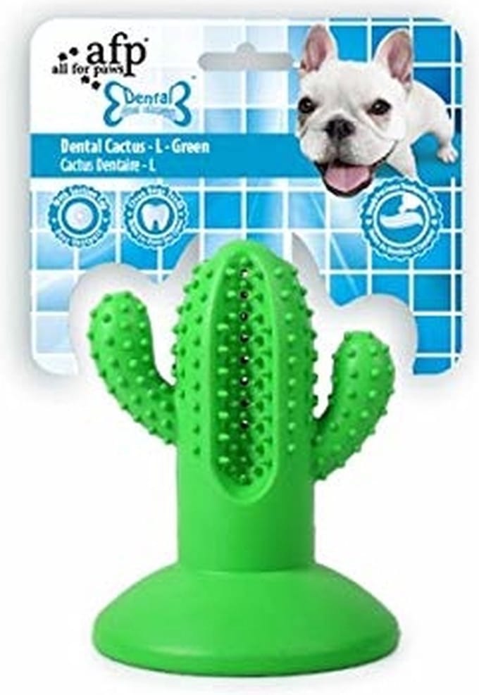 AFP Dental Chews-Cactus Large Rubber Green