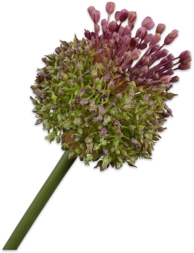 Silk-ka - Kunstbloem - paars - H87 cm