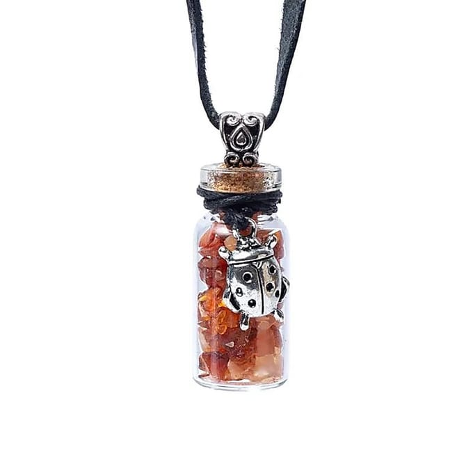 Yogi & Yogini - Geschenkflesje - koord - carneool - lieveheersbeestje