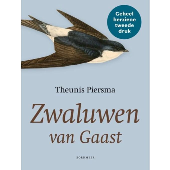 Zwaluwen Van Gaast - Theunis Piersma