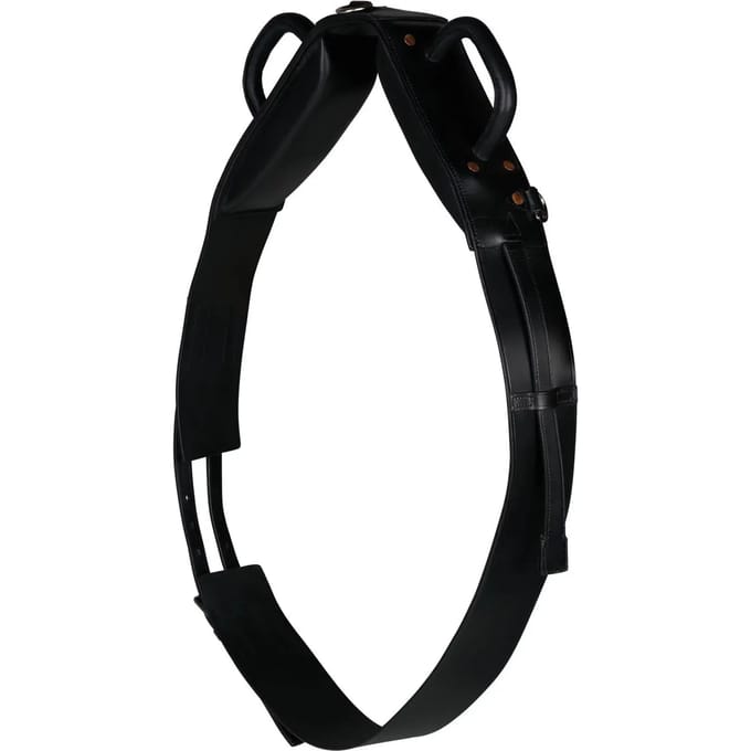 Longe om paard te longeren met longeerkap Horze