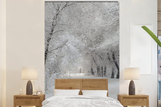 Behang - Fotobehang Bomen - Sneeuw - Winter - Breedte 225 cm x hoogte 350 cm