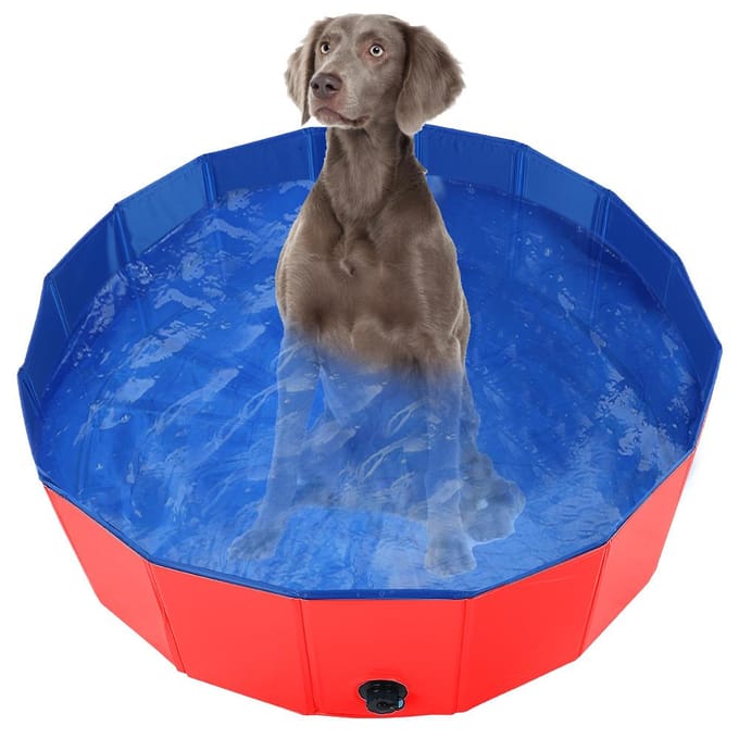 Piscine pliable pour chiens et chats, baignoire pour animaux de compagnie, rouge, taille L Large rouge