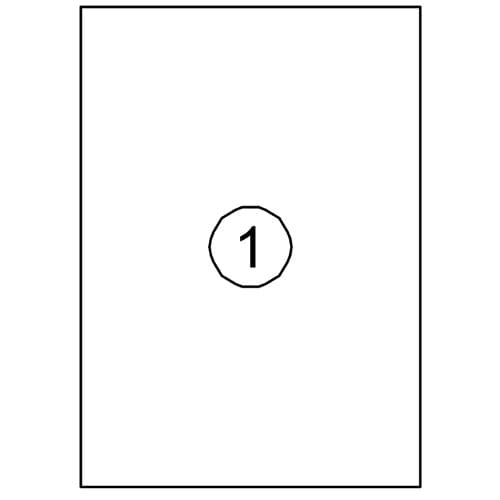 Etiket Quantore 210x297mm 100 stuks