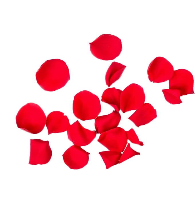 Rozenblaadjes - Rood - 100 stuks
