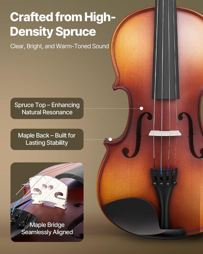 Violon 355mm Taille Complète Set de Violon Bois Massif pour Débutant Marron Mat