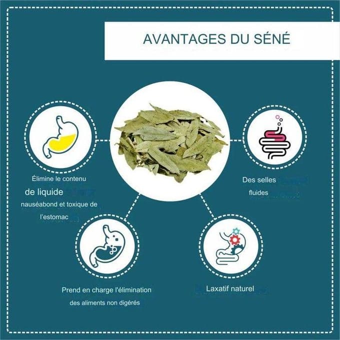Complément alimentaire Capsules de Séné (Cassia Angustifolia), 100 x 500 mg favorise le transit intestinal