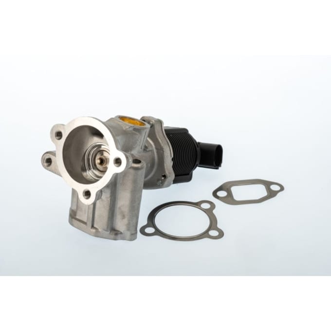 Borg Warner EGR-klep WAHLER 710773D