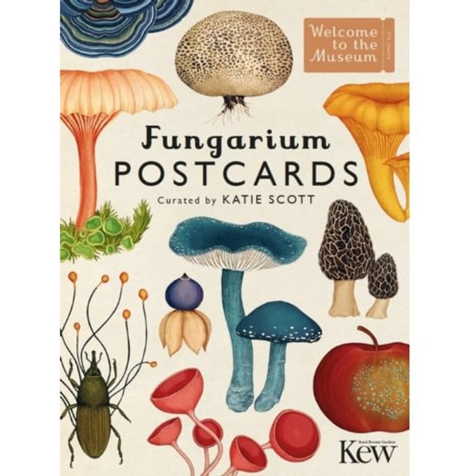 Fungarium Postcards - Welcome To The Museum
