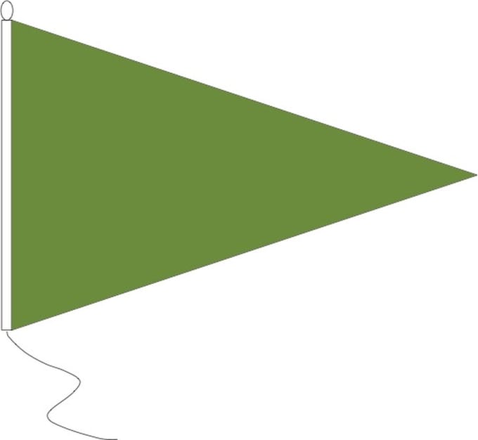 Groene puntvlag 20x30cm