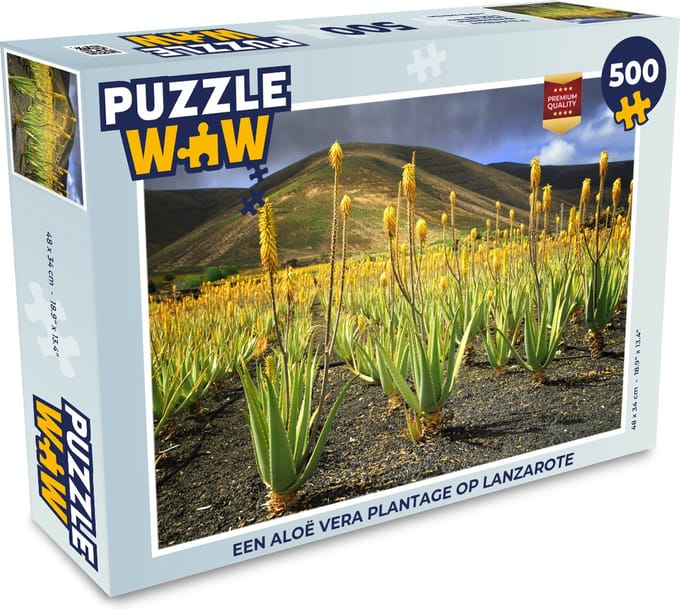Puzzel Een Aloë Vera plantage op Lanzarote - Legpuzzel - Puzzel 500 stukjes