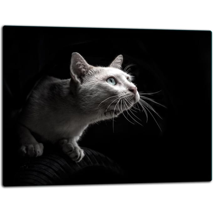 TMK ArtDeko - Glas Snijplank - 52x40 cm - Beschermend Beeld