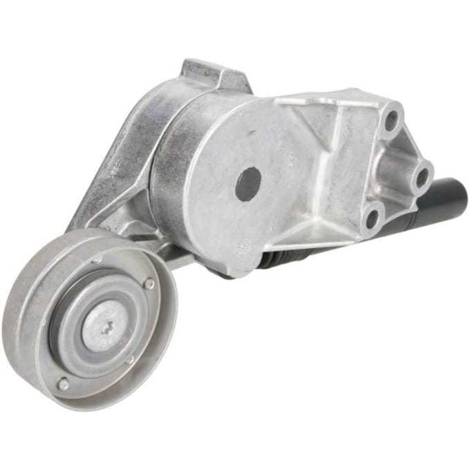 Schaeffler Ina Riemspanner, Poly V-riem INA 533 0081 30