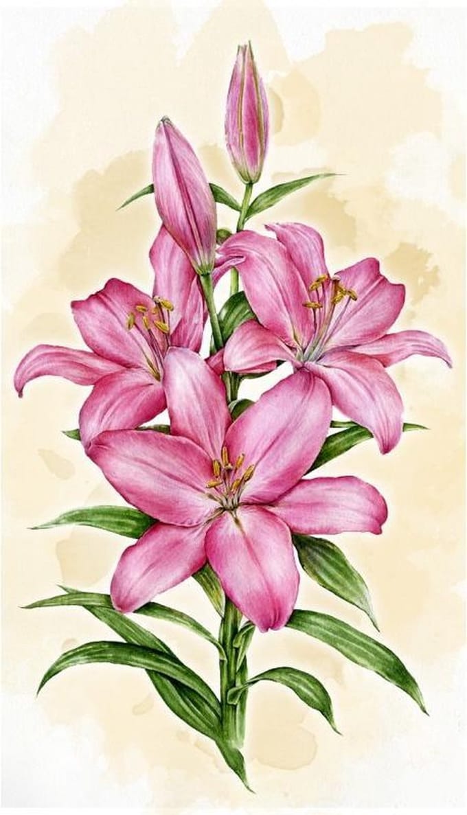 Wizardi Diamond Painting Kit Lilies WD2582