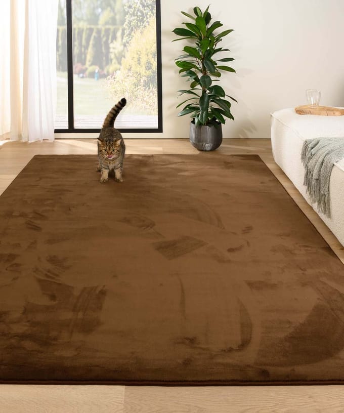 Zacht vloerkleed - Plush bruin 60x110