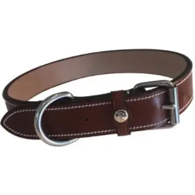 Hondenhalsband Silver Crown Karl
