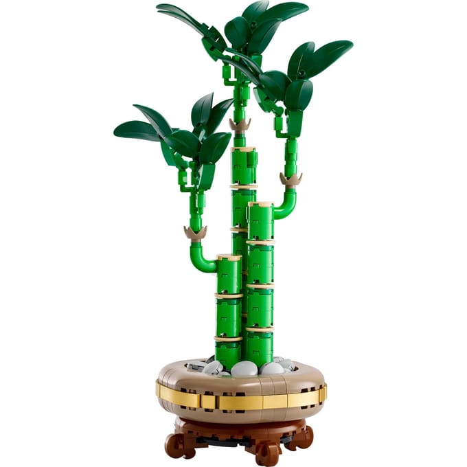 LEGO Botanicals LEGO® Botanicals™ 10344 Glücks-Bambus