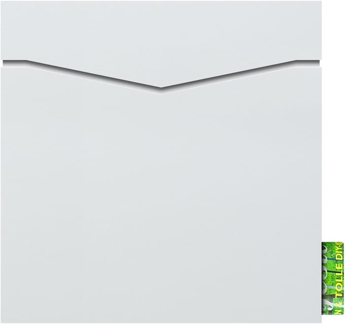 Dailygoods - Moderne Wandbrievenbus met Krantenvak - Weerbestendig en Roestvrij