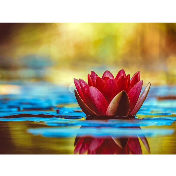 Peinture diamant 5D à faire soi-même, broderie complète de fleurs rondes, image de fleurs en strass 20X30CM blue