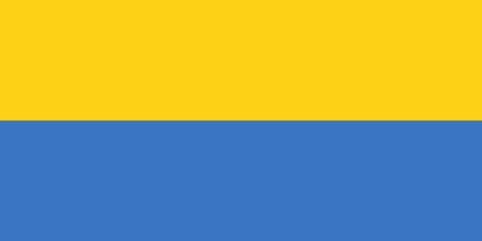 Vlag Gabon 70x100cm