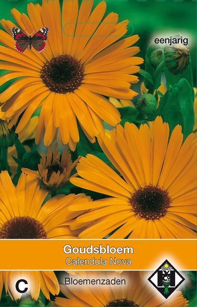 2 stuks Van Hemert & Co Calendula officinalis Nova