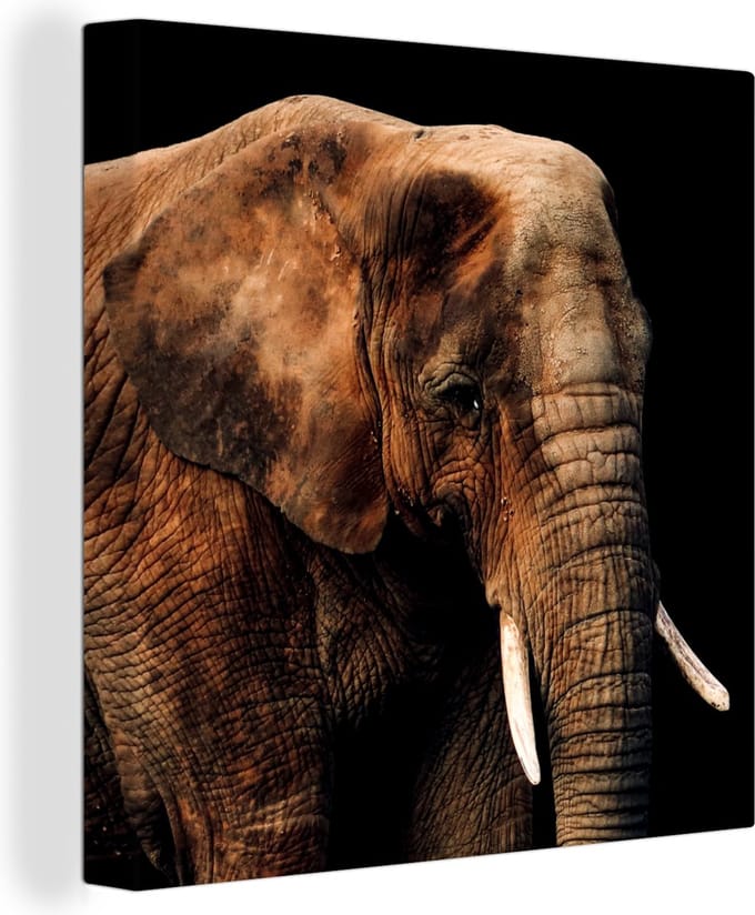 Canvas Schilderij Olifant - Dieren - Bruin - 90x90 cm - Wanddecoratie