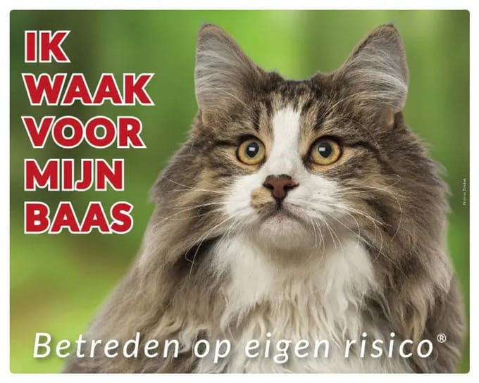 Noorse Boskat Waakbord
