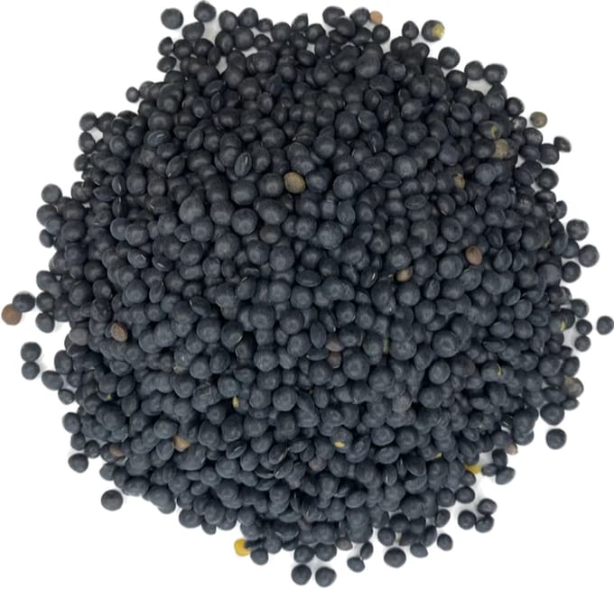 Beluga linzen 500 gram