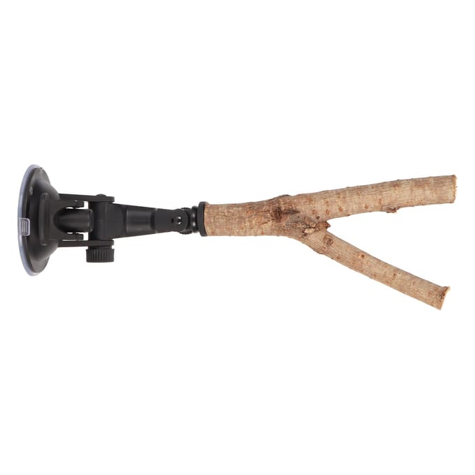 Vogel Tak Stok Standaard Training Interactief Voorkom Uitglijden Houten Papegaaienstok met Zuignappen voor 15cm / 5.9in beige