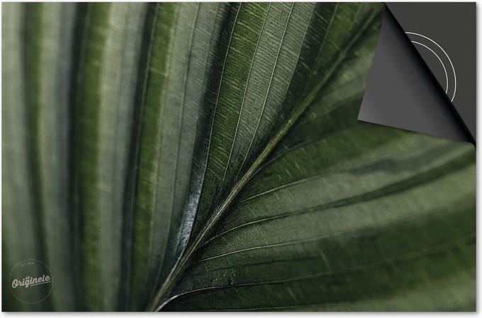 Inductie beschermer 81x52 - afdekplaat inductie mat - Dietrix Kookplaat beschermer - Base - Leaves - 11 Blad nerf