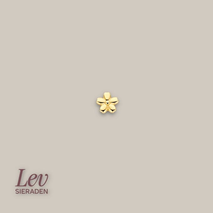 Lev Sieraden - Labret piercing met bloem top - 14k geel goud