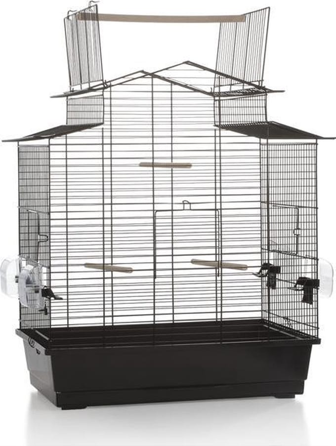 Beeztees Iza 3 Open - Vogelkooi - Zwart - Groot - 59x38x65 cm