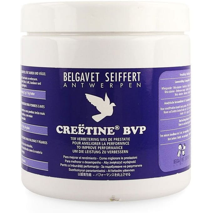 Creetine Complex Bvp Pot 200g