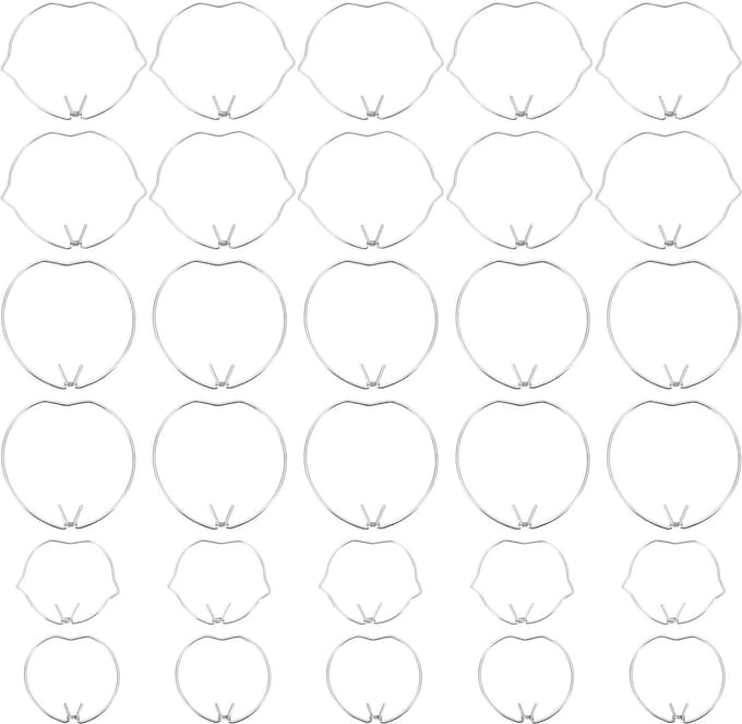 Borgveer Ringen Set - Lamphouder Clips - Bevestigen Spots - 30 Stuks Set - 35mm 50mm
