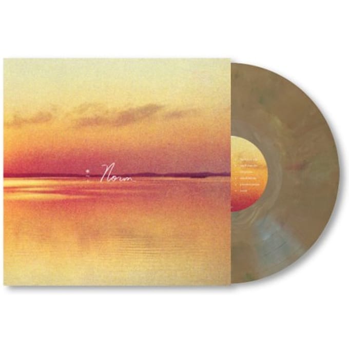 Andy Shauf - Norm (LP) (Limited Edition)