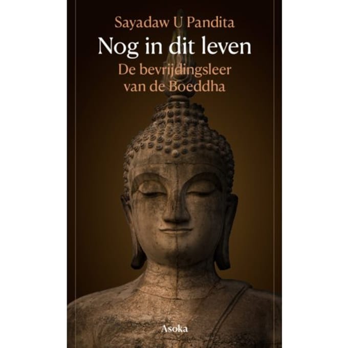 Nog In Dit Leven - Sayadaw U Pandita