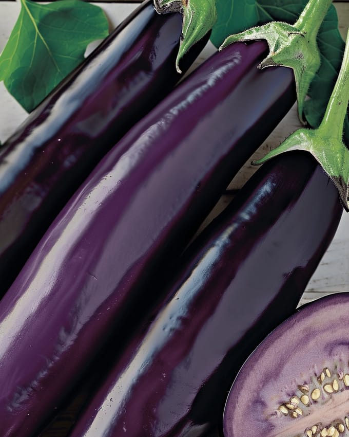 2 sets - Aubergine Zaden Violetta Lunga Solanum Melongena Vroeg Ras