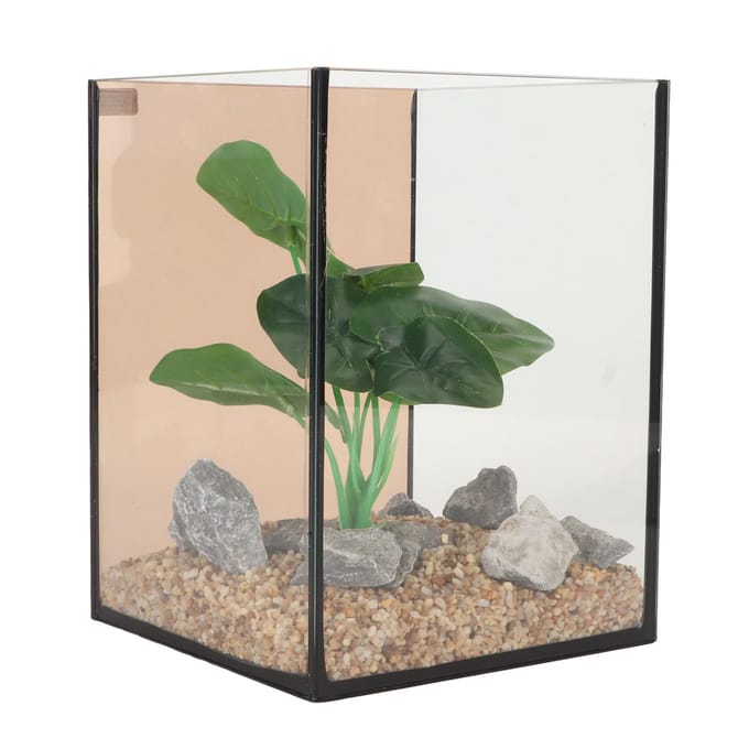 Aquarium en verre Mini Compact Ingénieux Sûr Faible Bruit Changement d'eau Libre Kit d'aquarium pour Table white