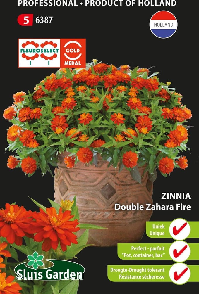 Sluis Garden - Zinnia Zahara Fire double