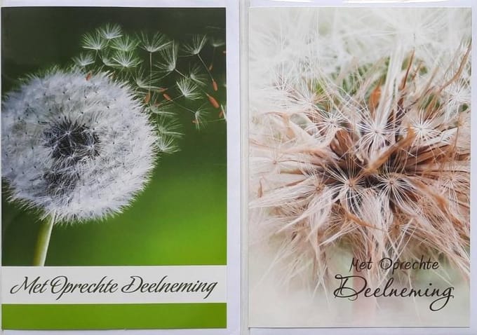2 Wenskaarten - Condoleance Kaarten - Met Oprechte Deelneming - 12 x 17 cm – CON-006
